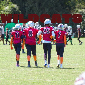 western wildcats