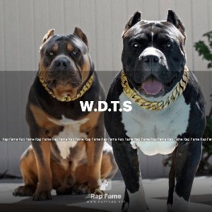 W.D.T.S 