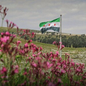 Free Syria 