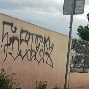 vida de porqueria