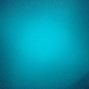 Trunk (freestyle)