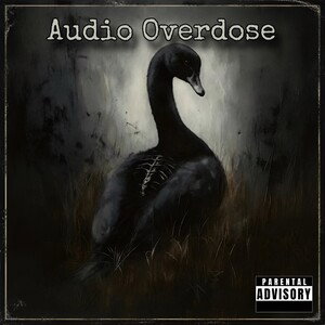 Audio Overdose - Lame Hoes
