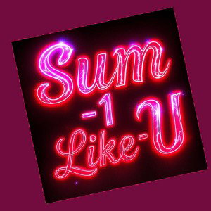 Some-1-Like-U 