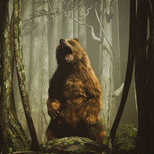 Grizzly (partie 2)