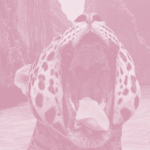 JUST FUNKIN ABOUT (Bass Boost)