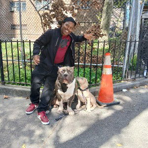 I'm from Harlem