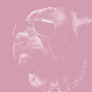mein erstes trackk (Bass Boost)