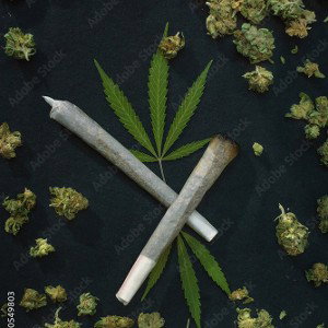 🚭No Spliff🚭