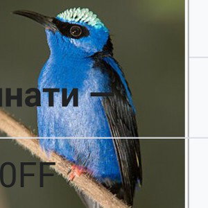 мы пливєм