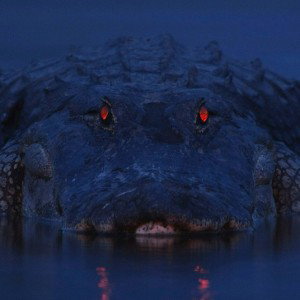 monsters ( alligator)devil album single EL