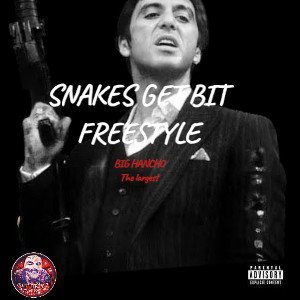 SNAKES GET BIT FREESTYLE 