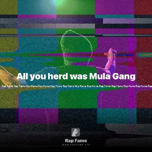 All you herd was Mula Gang