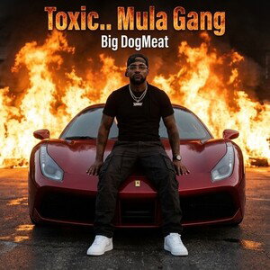 Toxic.. Mula Gang