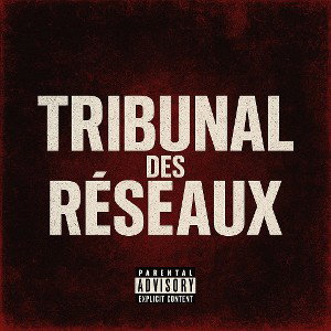 Tribunal des réseaux  