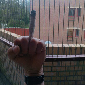 fuck rehab