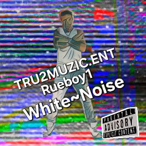 #D2K00420_#whitenoise_#TRu2Muzic