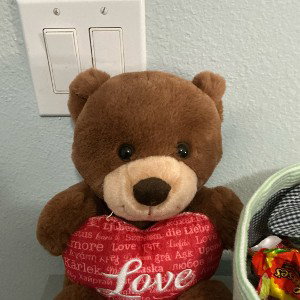 LIL TED