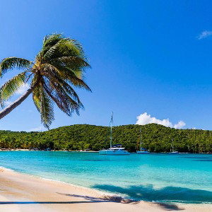 Caribbean Crush