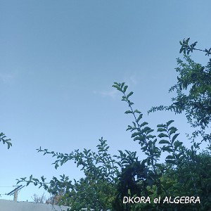 dkora el algebra 