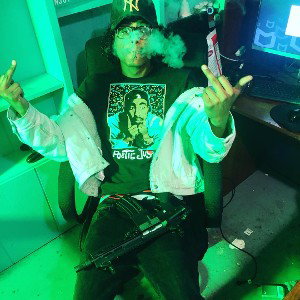 gaula$