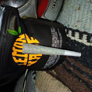 improvisación 