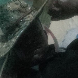 master Vee MC on fire 
