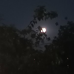 KAAM
