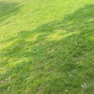 Liebe weg 