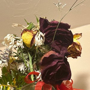 Dead Roses Freestyle 