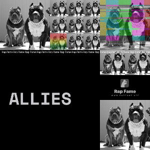 Allies 