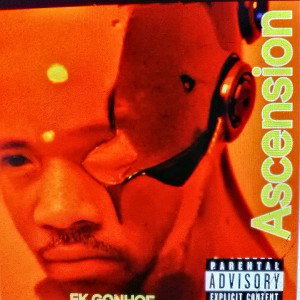 Ek Gonhoe - Together or not (life go's on)