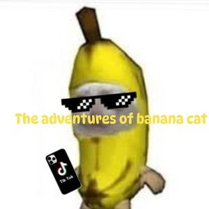 intro 