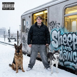 sheep's and Dawgs