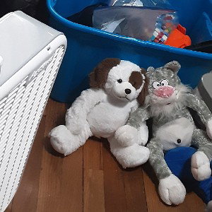 cat and dog8383