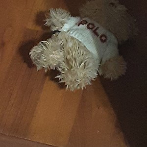 when did bro come but now he's gone