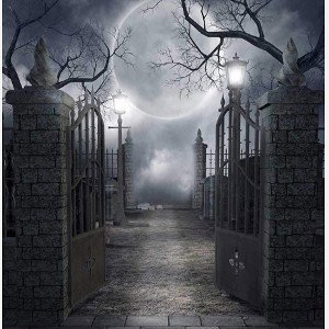 lurking shadows/ rising 