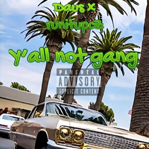 y’all not gang