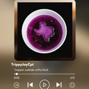 TrippyJayCpt TWMB
