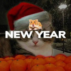 Mew Year Beat