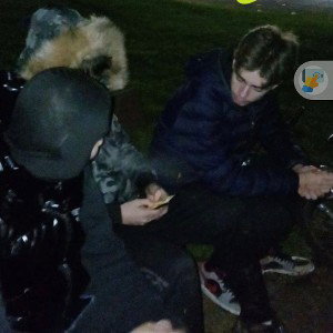 Gang