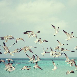 Floating