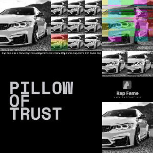 Pillow of trust