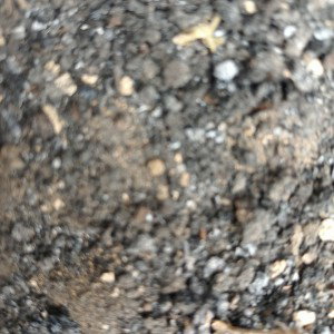 piedras