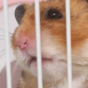 сигареты 