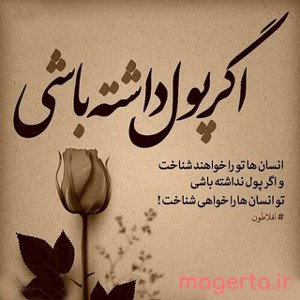 آلبوم جدید 