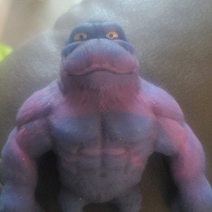 gorilla 