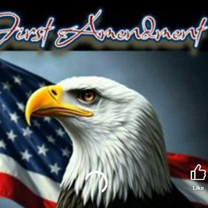 1stAmendment 