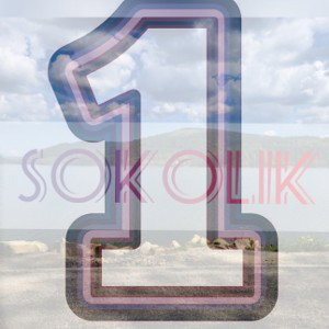 Ліна Костенко - Крила (prod.sokolikone.)  