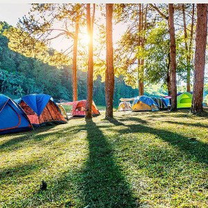 camp