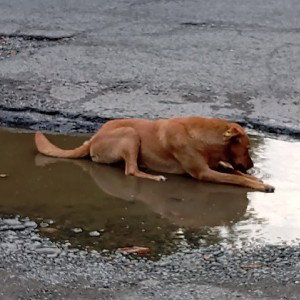 А ты знаешь?!?!?!